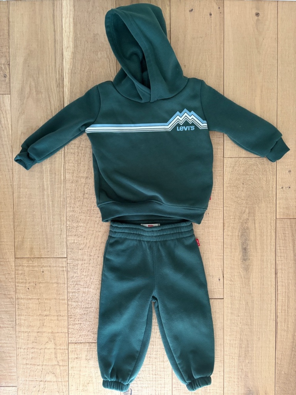 Levi's Kids Green Hoodie and Joggers Set
